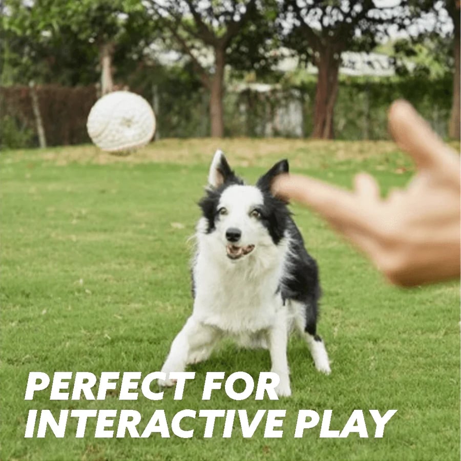MeyPaw™ Immortal Toy For Aggressive Chewers – The Chew Toy That Fights Back (and Wins) | BUNDLE OFFER