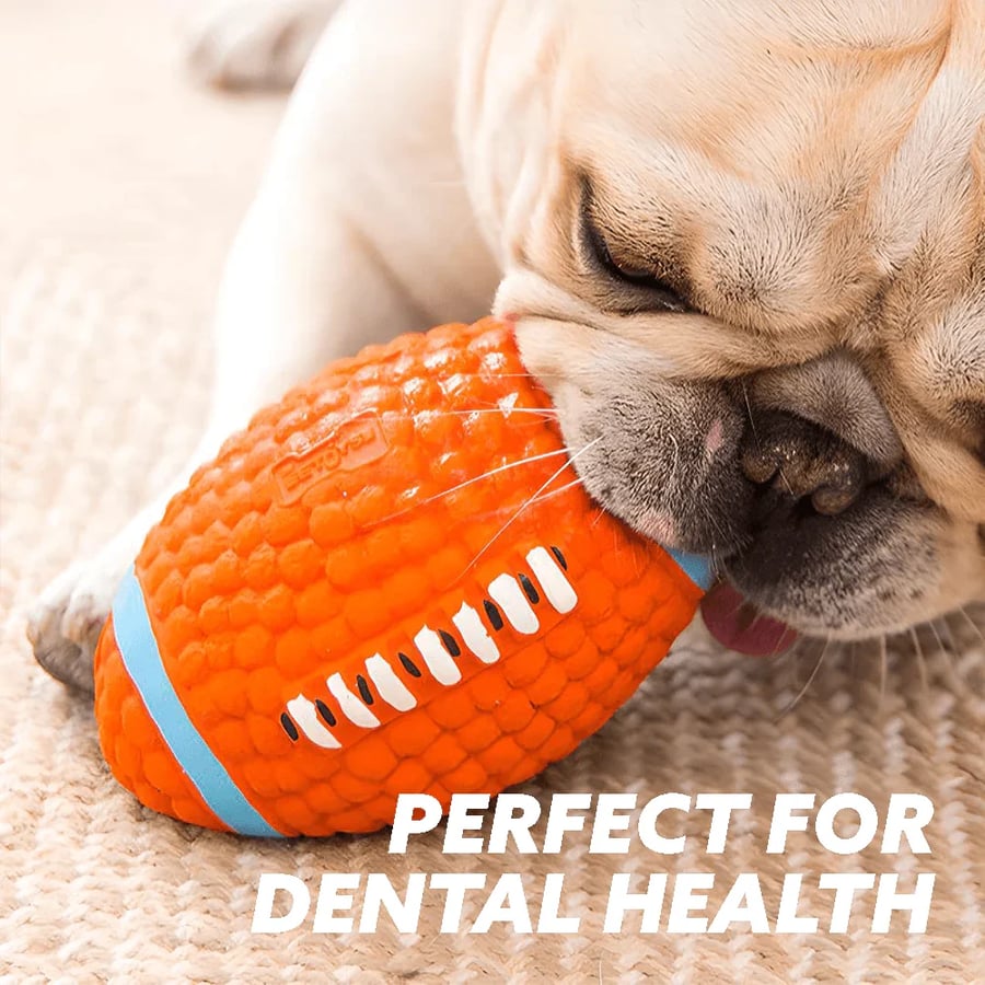 MeyPaw™ Immortal Toy For Aggressive Chewers – The Chew Toy That Fights Back (and Wins) | BUNDLE OFFER