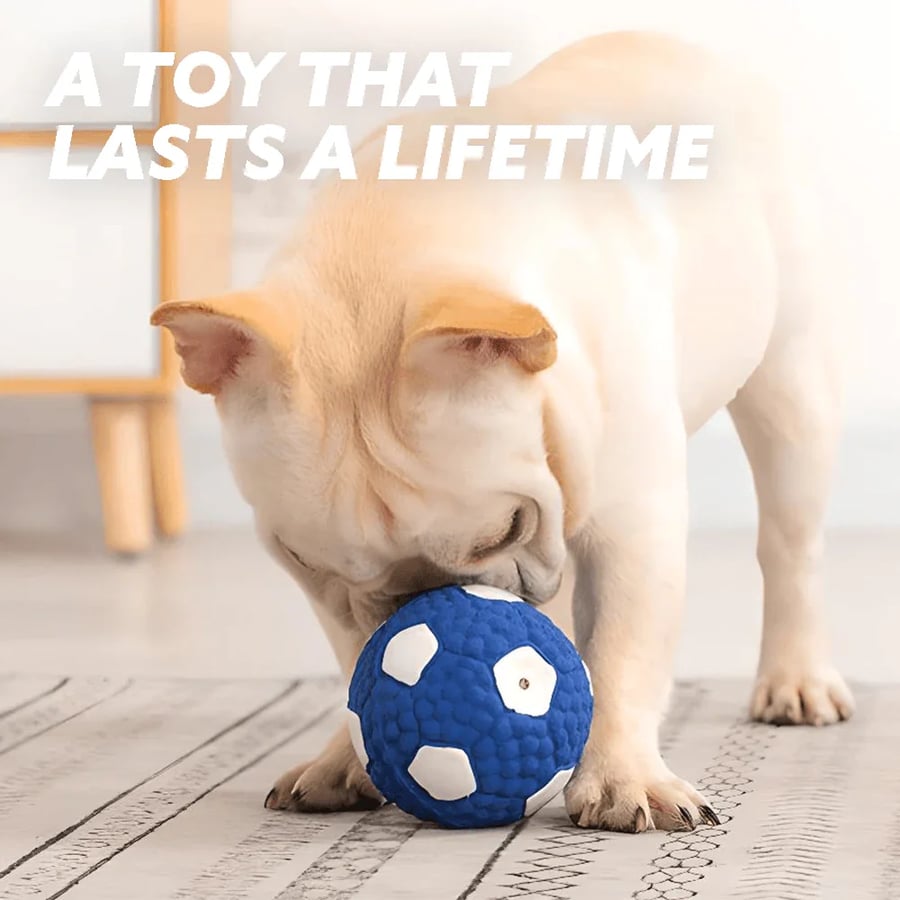 MeyPaw™ Immortal Toy For Aggressive Chewers – The Chew Toy That Fights Back (and Wins) | BUNDLE OFFER