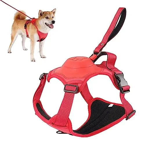 MeyPaw™ Pro All-in-One Harness with Integrated Leash | Walks Made Simpler. Moments Made Sweeter.