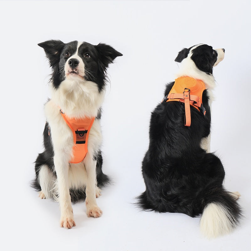 MeyPaw™ Pro All-in-One Harness with Integrated Leash | Walks Made Simpler. Moments Made Sweeter.