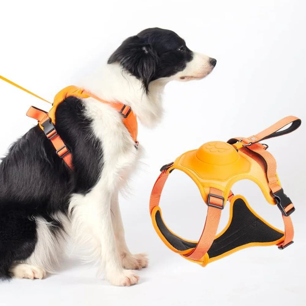 MeyPaw™ Pro All-in-One Harness with Integrated Leash | Walks Made Simpler. Moments Made Sweeter.