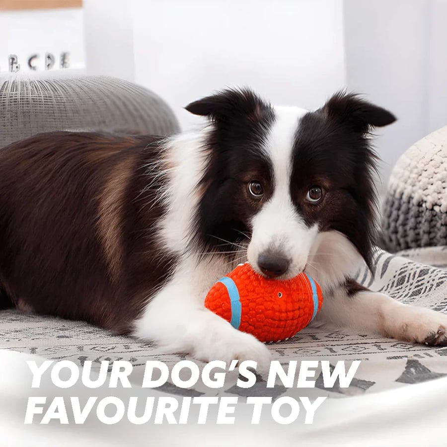 MeyPaw™ Immortal Toy For Aggressive Chewers – The Chew Toy That Fights Back (and Wins) | BUNDLE OFFER