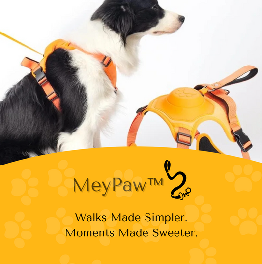MeyPaw™ Pro All-in-One Harness with Integrated Leash | Walks Made Simpler. Moments Made Sweeter.