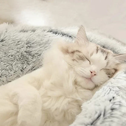 MeyNest™ – Give Your Furry Friend The Best With MeyNest™ 🐾 | The Ultimate Calming Bed for Comfort, Security & Anxiety Relief